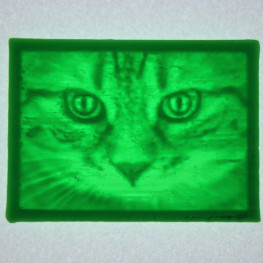 Литофан Зелёный Кот